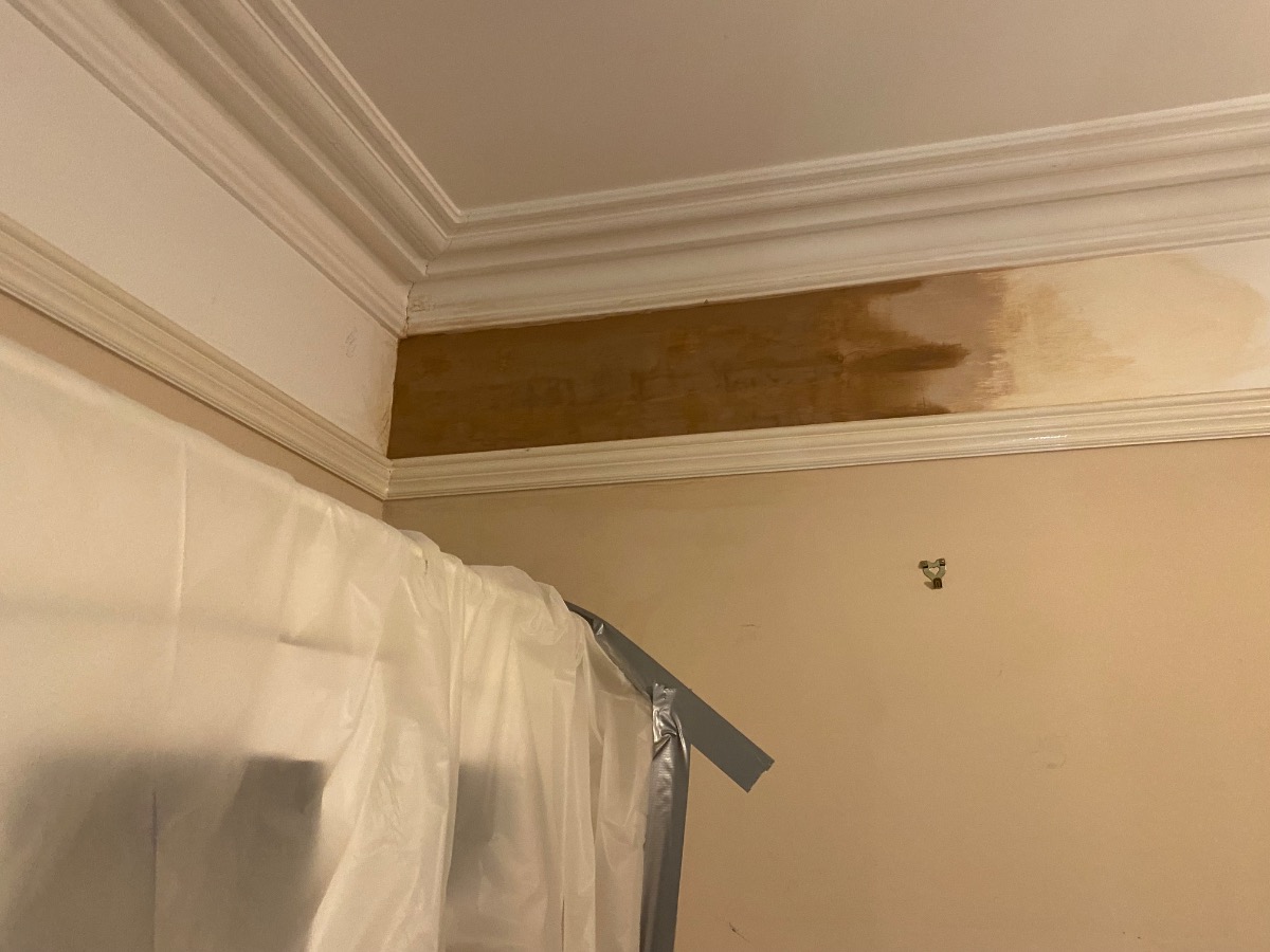 Plasterer: Image 2